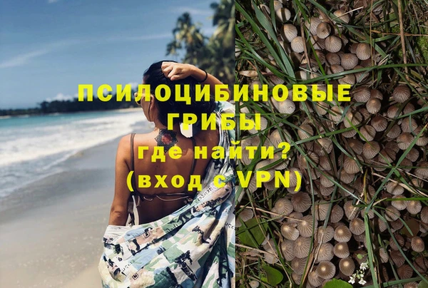 стафф Кукмор