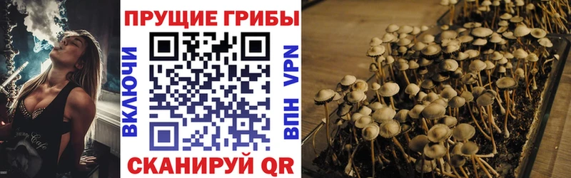 Псилоцибиновые грибы MAGIC MUSHROOMS  Михайловка 