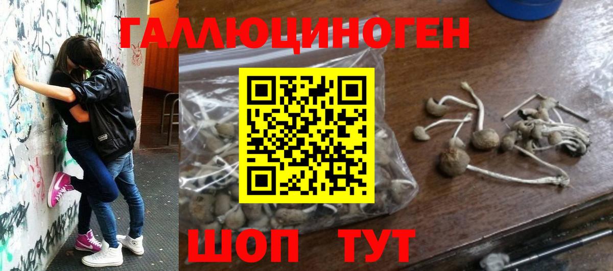 Михайловка  Псилоцибиновые грибы Cubensis  купить наркоту  Вход с VPN 