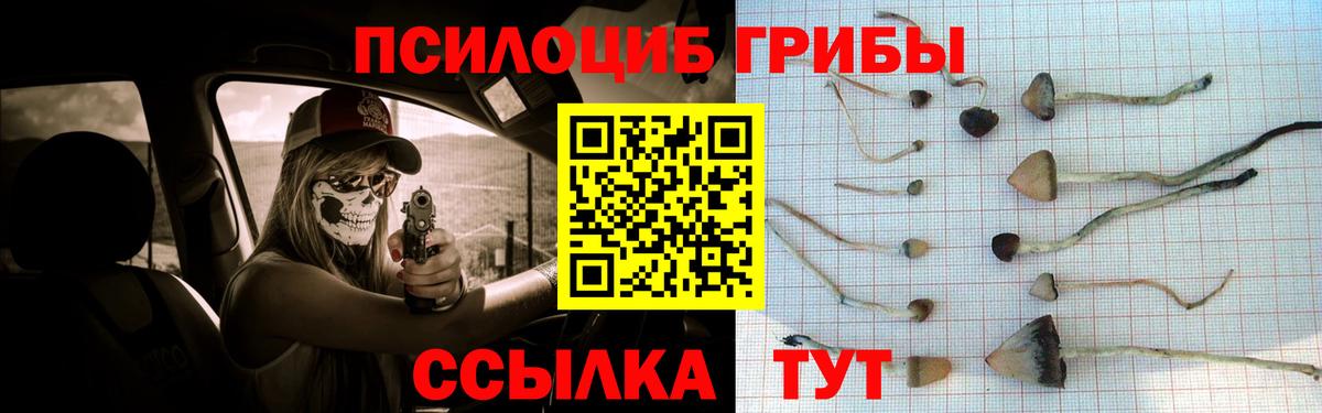 Галлюциногенные грибы Psilocybine cubensis  Михайловка 