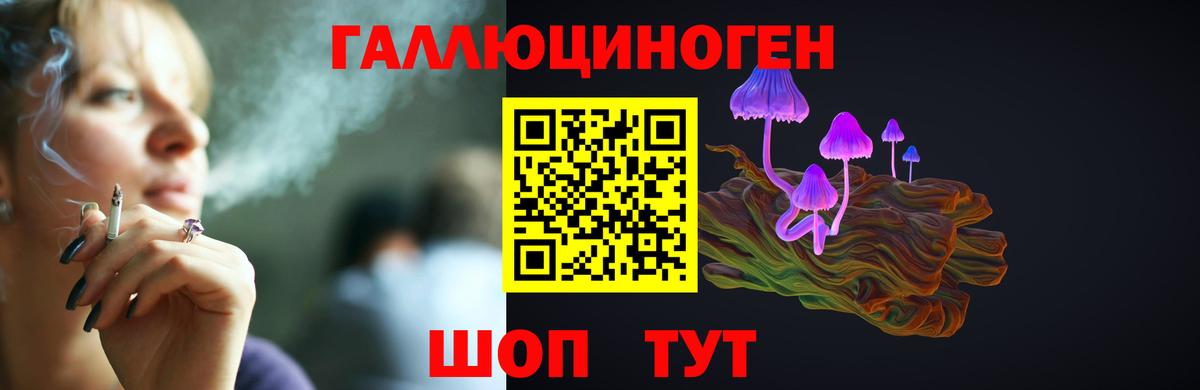 Псилоцибиновые грибы GOLDEN TEACHER Михайловка
